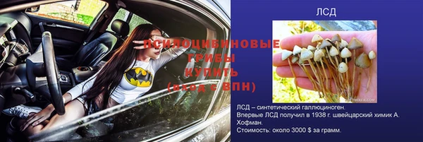 дурь Алексин