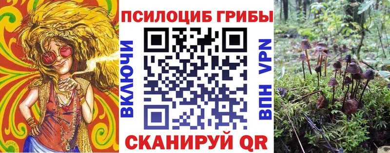 Псилоцибиновые грибы мицелий  Каргополь 